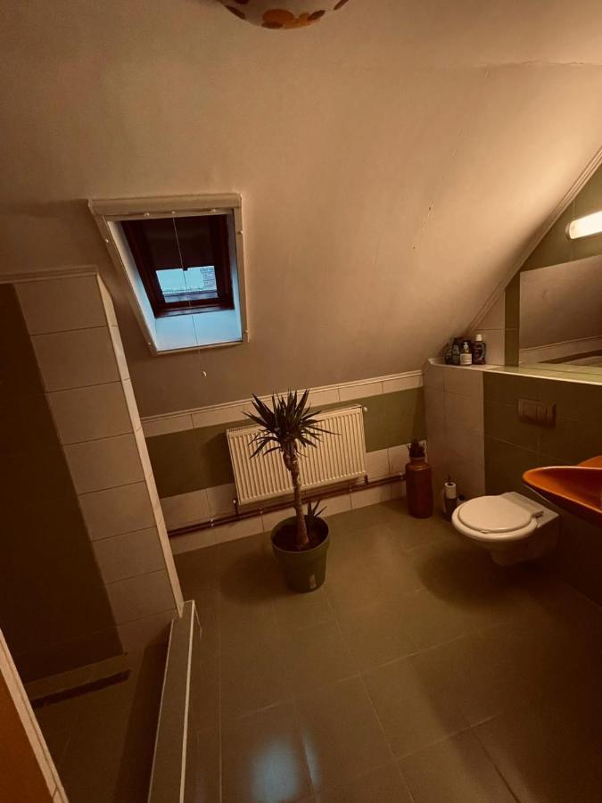 Casa Verde Foeni Eksteriør billede